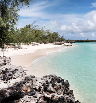 cruise seychelles mauritius madagascar 2024