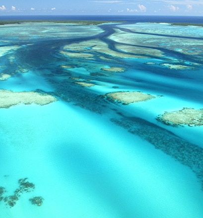 Gehen Sie schwimmen auf dem Aldabra-Atoll – Seychellen