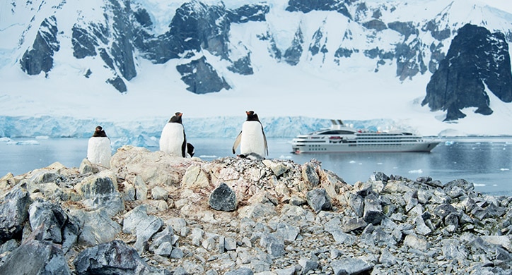 5 raisons de partir en Antarctique 