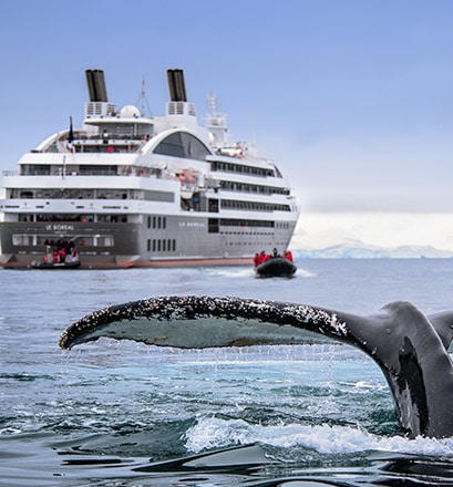 ponant cruises antarctica price