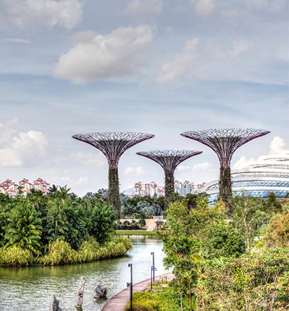 Entspannen in den futuristischen Gardens by the Bay – Singapur 