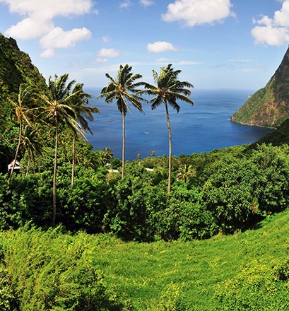 Die bezaubernden Landschaften von St. Lucia