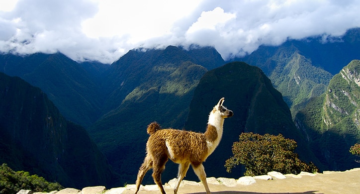 Die schönsten Highlights – Chile, Peru, Ecuador
