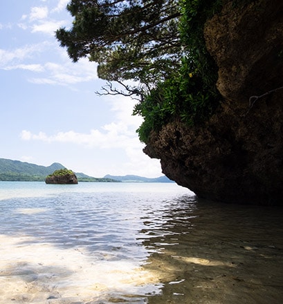 Plonger dans les îles subtropicales du Japon 