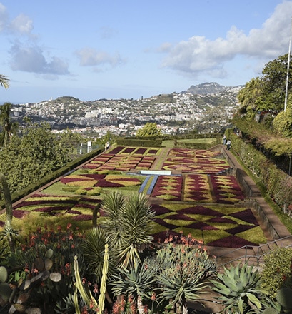 Take things slowly in Funchal