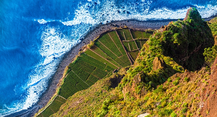 Wissenswertes – Madeira