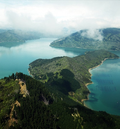 S’émouvoir devant la beauté des paysages des fjords de Marlborough - Nouvelle-Zélande