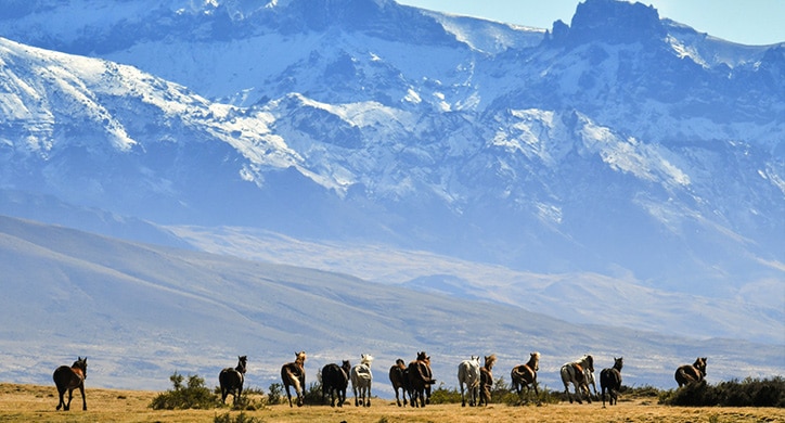 Die schönsten Highlights – Patagonien und Chilenische Fjorde