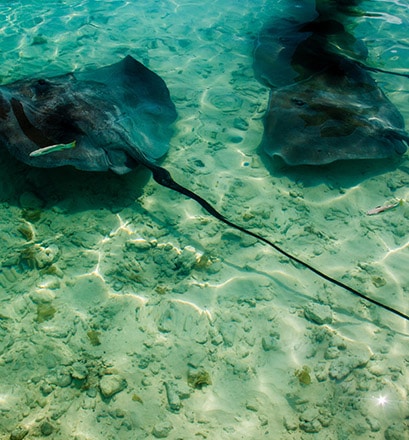 Se sentir comme au paradis - Bora Bora, Polynésie française 