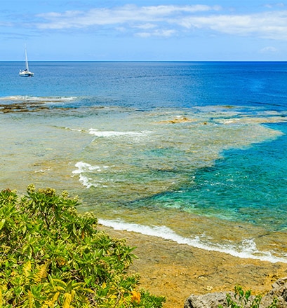 Dive off Alofi Island - Wallis and Futuna 