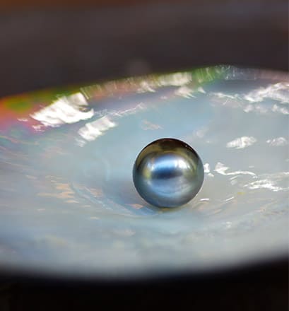 Visit a pearl farm in Rangiroa - Tuamotus, French Polynesia 