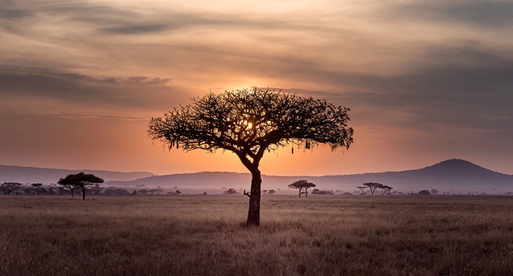 Die schönsten Highlights – Südafrika