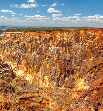 Entdecken Sie die heimische Tierwelt des Ankarafantsika-Nationalparks 