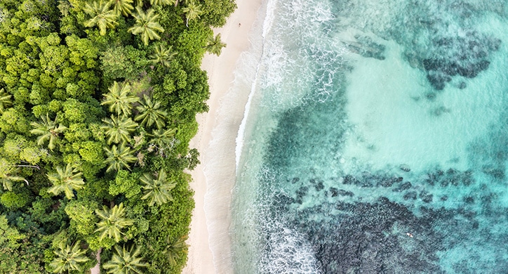 L’Essentiel des Seychelles 