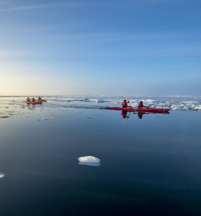 Fahren Sie mit dem Kajak zwischen Eisschollen und Eisbergen