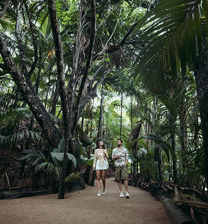 Gehen Sie im Botanischen Garten von Victoria spazieren – Mahé 