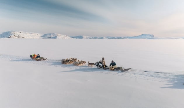 Mit dem Eisbrecher nach Grönland