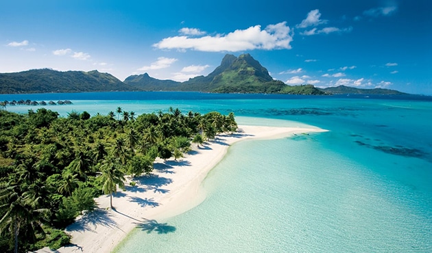 Aloha!